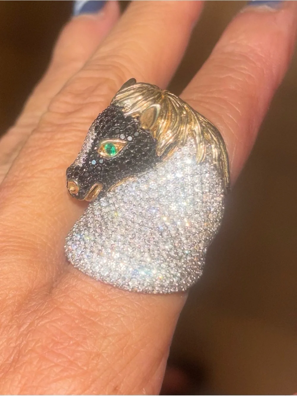 Equestrian horse ring